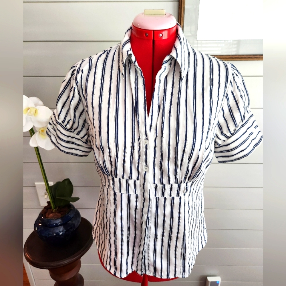 Worthington Whit and Blue Strip Blouse